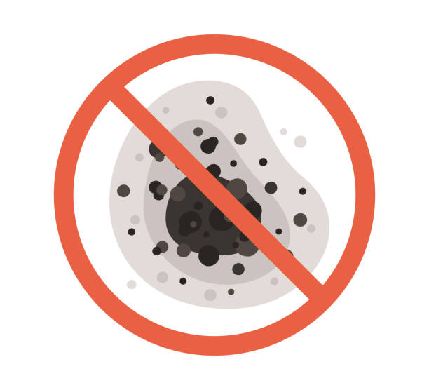 Best Forensic Mold Investigation  in Villas, FL