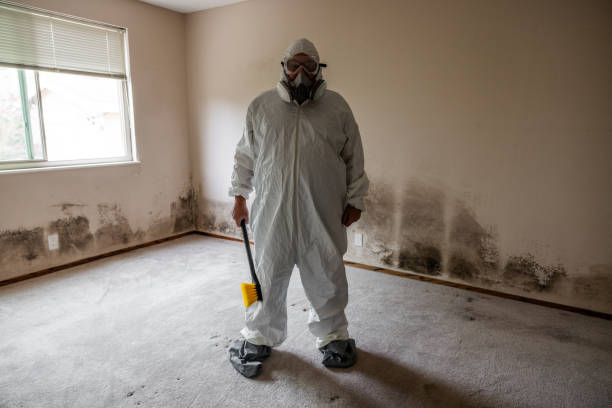 Best Post-Construction Mold Inspection  in Villas, FL