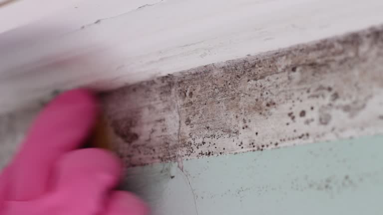 Best Post-Remediation Verification Testing  in Villas, FL